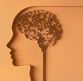  [장래혁의 뇌교육 가이드 28편] 똑똑한 뇌 vs 좋은 뇌