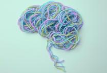 [뇌 기반 상담심리] 불안과 우울은 어디에서 오는가?