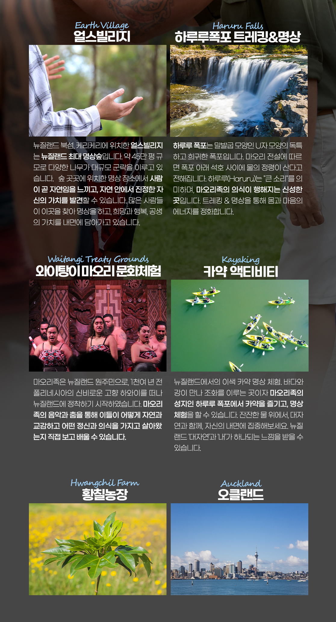 earth village 얼스빌리지 뉴질랜드 북섬, 케리케리에 위치한 얼스빌리지는 뉴질랜드 최대 명상숲입니다. 약 45만평 규모로 다양한 나무가 대규모 군락을 이루고 있습니다. 숲 곳곳에 위치한 명상 장소에서 사람이 곧 자연임을 느끼고 자연 안에서 진정한 자신의 가치를 발견할 수 있습니다. 많은 사람들이 이곳을 찾아 명상을 하고, 희망과 행복, 공생의 가치를 내면에 담아가고 있습니다. haruru falls 하루루폭포 트레킹&명상 하루루 폭포는 말발굽 모양인 U자 모양의 독특하고 희귀한 폭포입니다. 마오리 전설에 따르면 폭포 아래 석호 사이에 물의 정령이 산다고 전해집니다. 하루루(Haruru)는 큰소리를 의미하며, 마오리족의 의식이 행해지는 신성한곳입니다. 트레킹&명상을 통해 몸과 마음의 에너지를 정화합니다. waitangi treaty grounds 와이팅이 마오리 문화체험 마오리족은 뉴질랜드 원주민으로, 1천여 년 전 폴리네시아의 신비로운 고향 하와이를 떠나 뉴질랜드에 정착하기 시작하였습니다. 마오리족의 음악과 춤을 통해 이들이 어떻게 자연과 교감하고 어떤 정신과 의식을 가지고 살아왔는지 직접 보고 배울 수 있습니다. kayaking 카약 액티비티 뉴질랜드에서의 이색 카약 명상 체험. 바다와 강이 만나 조화를 이루는 곳이자 마오리족의 성지인 하루루 폭포에서 카약을 즐기고, 명상체험을 할 수 있습니다. 잔잔한 물 위에서, 대자연과 함께, 자신의 내면에 집중해보세요. 뉴질랜드 대자연과 내가 하나되는 느낌을 받을 수 있습니다. hwangchil farm 황칠농장 auckland 오클랜드