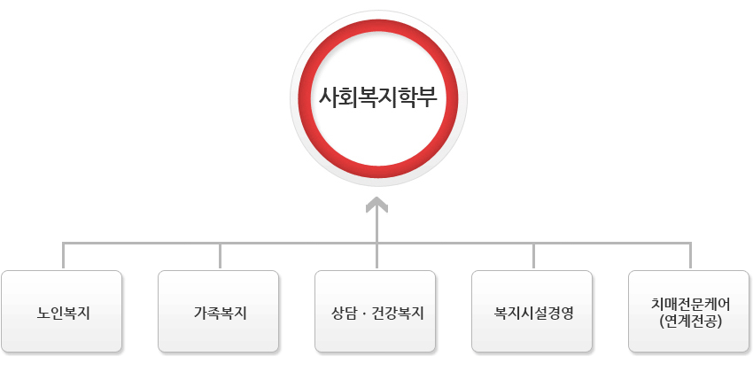 사회복지학부 실버복지 가족복지 복지심리상담 복지시설상담 건강복지(헬스케어복지) 치매전문케어(연계전공)